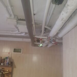 img 20260814 wa0007